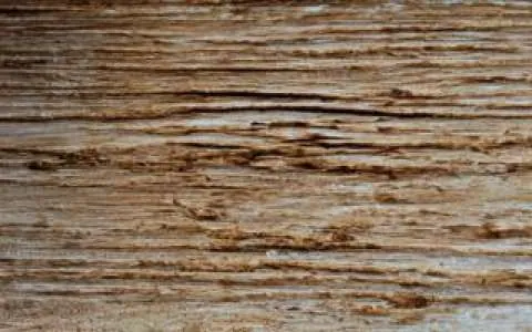 Textura do revestimento Creta