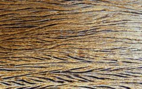 Textura do revestimento Egina