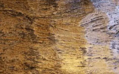 Textura do revestimento Laskari